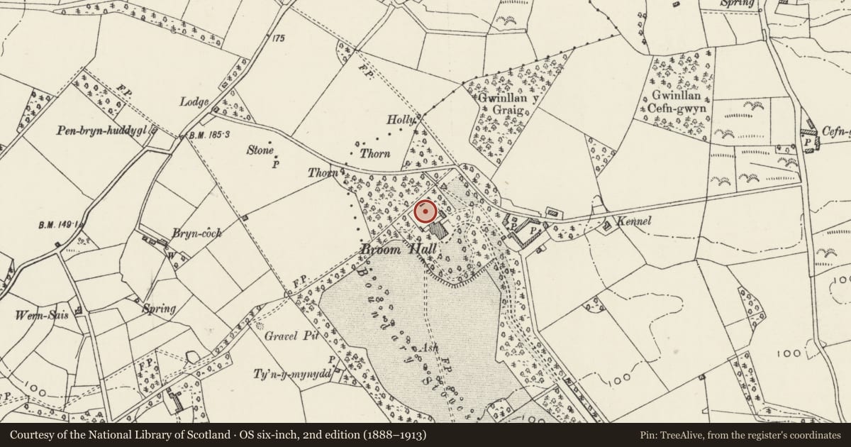 Ordnance Survey six-inch map, 2nd edition (1888–1913) covering the location of Kitchen Garden Wall and associated structures at Broom Hall, Llanystumdwy, Gwynedd, with a pin at the register's coordinates
