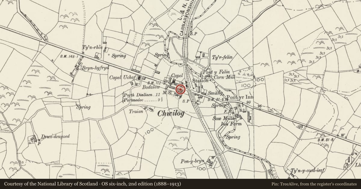 Ordnance Survey six-inch map, 2nd edition (1888–1913) covering the location of Tafarn Madryn, Llanystumdwy, Gwynedd, with a pin at the register's coordinates
