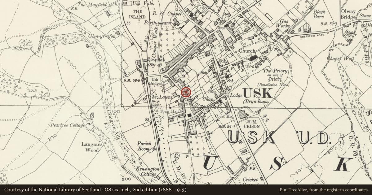 Ordnance Survey six-inch map, 2nd edition (1888–1913) covering the location of No.21 New Market Street, and attached iron railings, Usk, Monmouthshire, with a pin at the register's coordinates