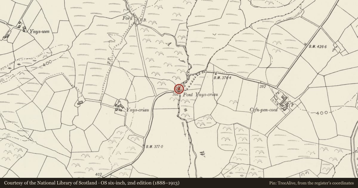 Ordnance Survey six-inch map, 2nd edition (1888–1913) covering the location of Pont Ynys Creua, Llanystumdwy, Gwynedd, with a pin at the register's coordinates