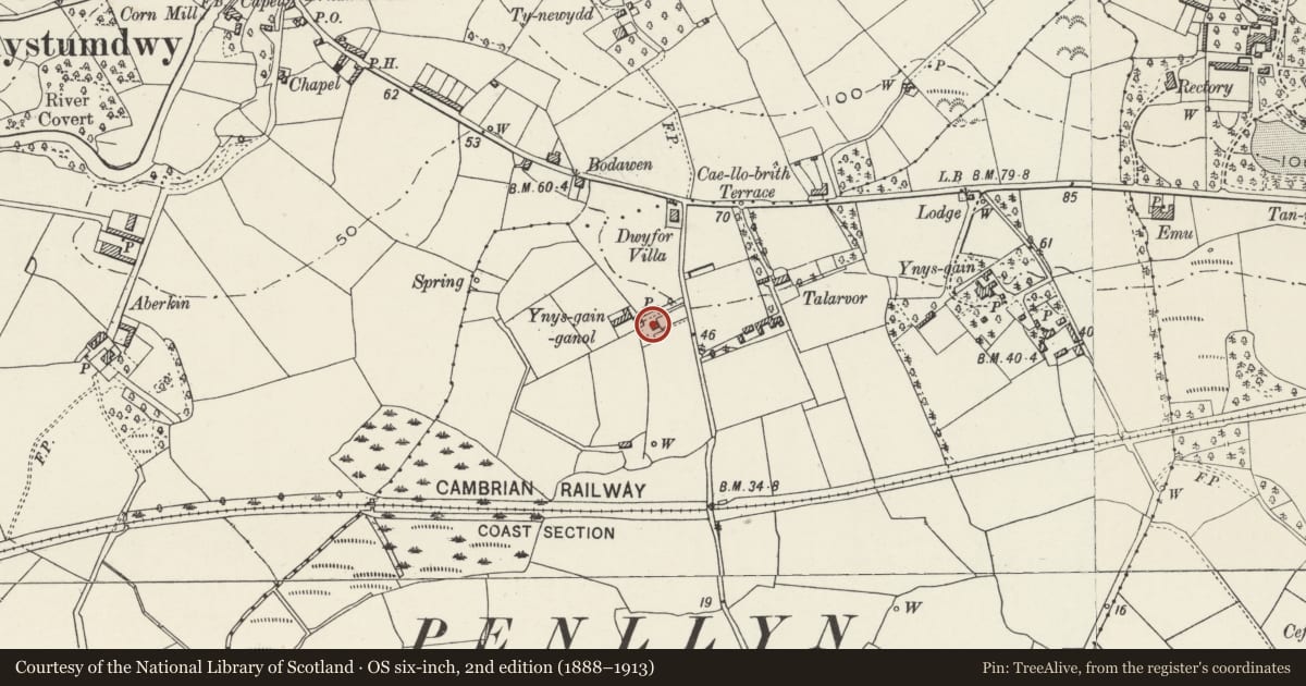 Ordnance Survey six-inch map, 2nd edition (1888–1913) covering the location of Ynysgain ganol, Llanystumdwy, Gwynedd, with a pin at the register's coordinates