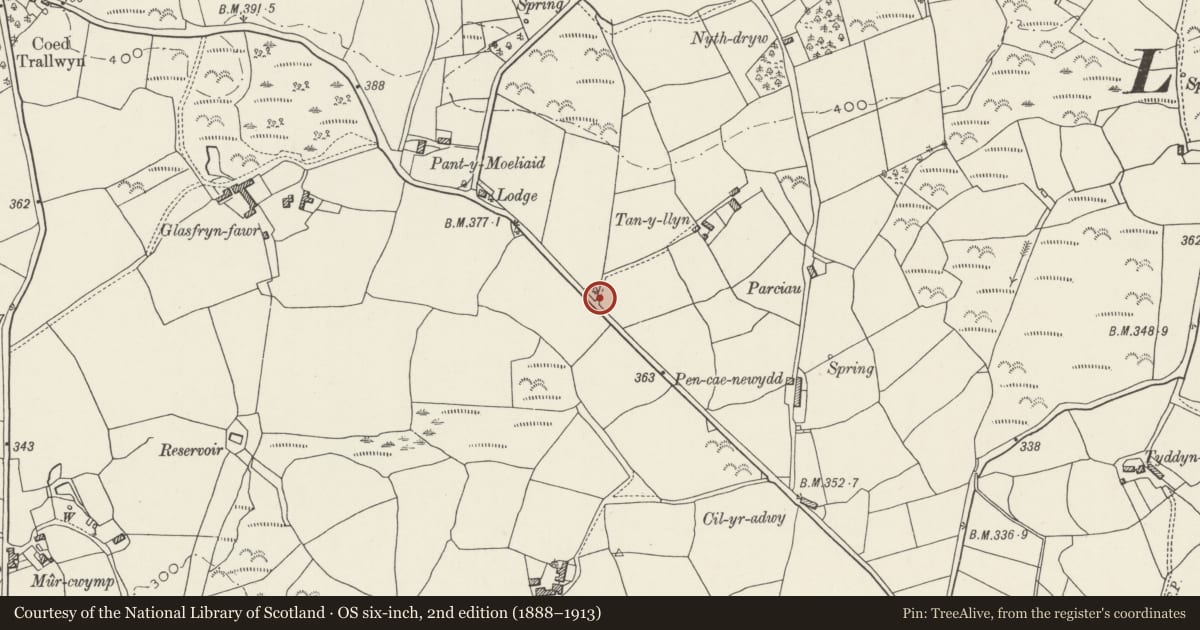 Ordnance Survey six-inch map, 2nd edition (1888–1913) covering the location of Milestone, Llanystumdwy, Gwynedd, with a pin at the register's coordinates