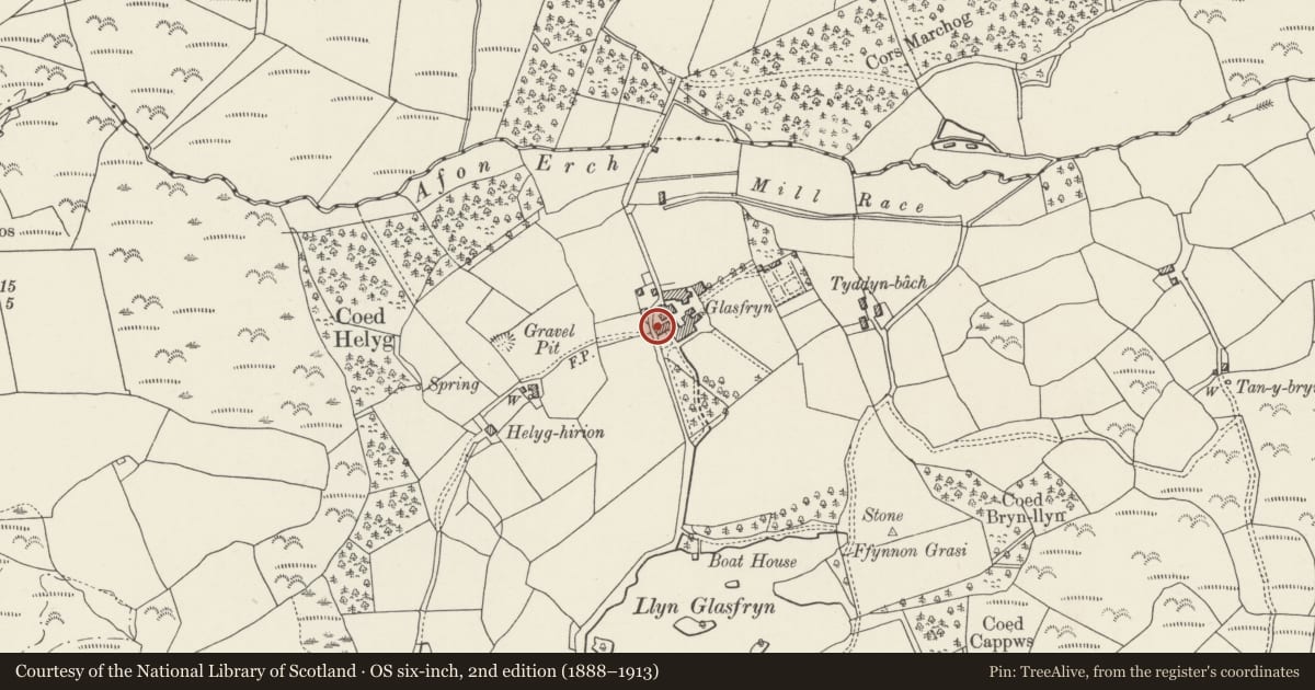 Ordnance Survey six-inch map, 2nd edition (1888–1913) covering the location of Walls flanking the W approach to the courtyard of Glasfryn, including Glasfryn-uchaf, Llanystumdwy, Gwynedd, with a pin at the register's coordinates