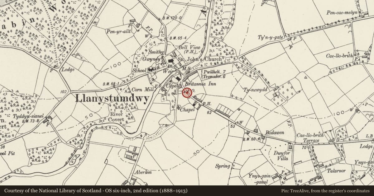 Ordnance Survey six-inch map, 2nd edition (1888–1913) covering the location of Front Walls and Gates to Moriah Methodist Chapel, Llanystumdwy, Gwynedd, with a pin at the register's coordinates