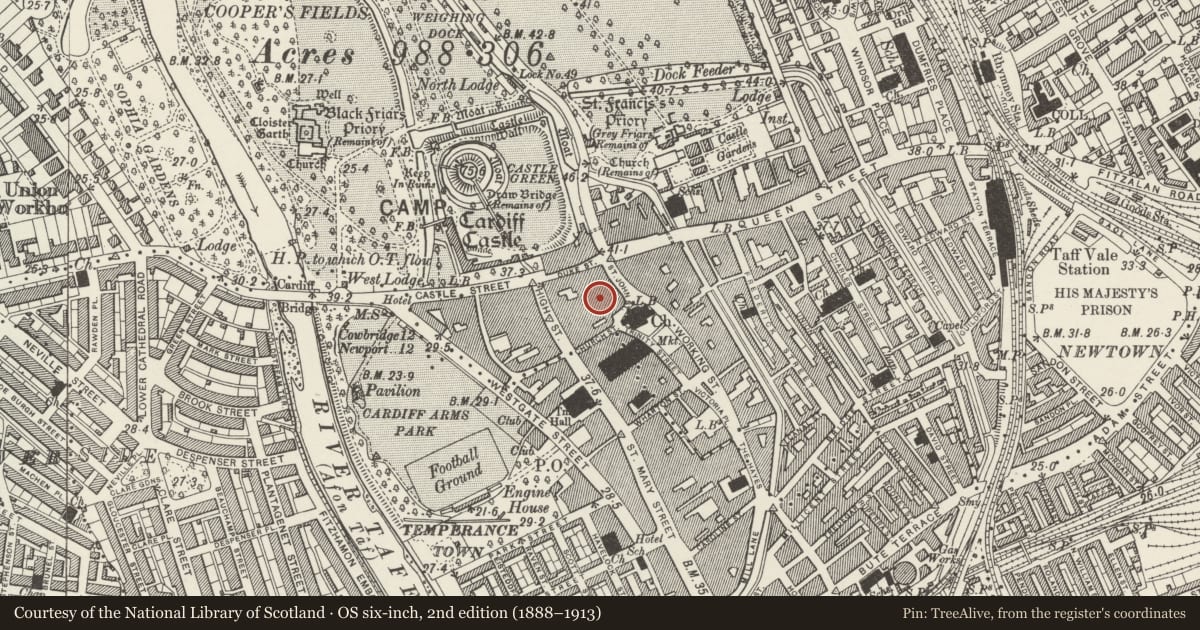 Ordnance Survey six-inch map, 2nd edition (1888–1913) covering the location of Duke Street Arcade, including 11 and 12 Duke Street, Castle, Cardiff, with a pin at the register's coordinates