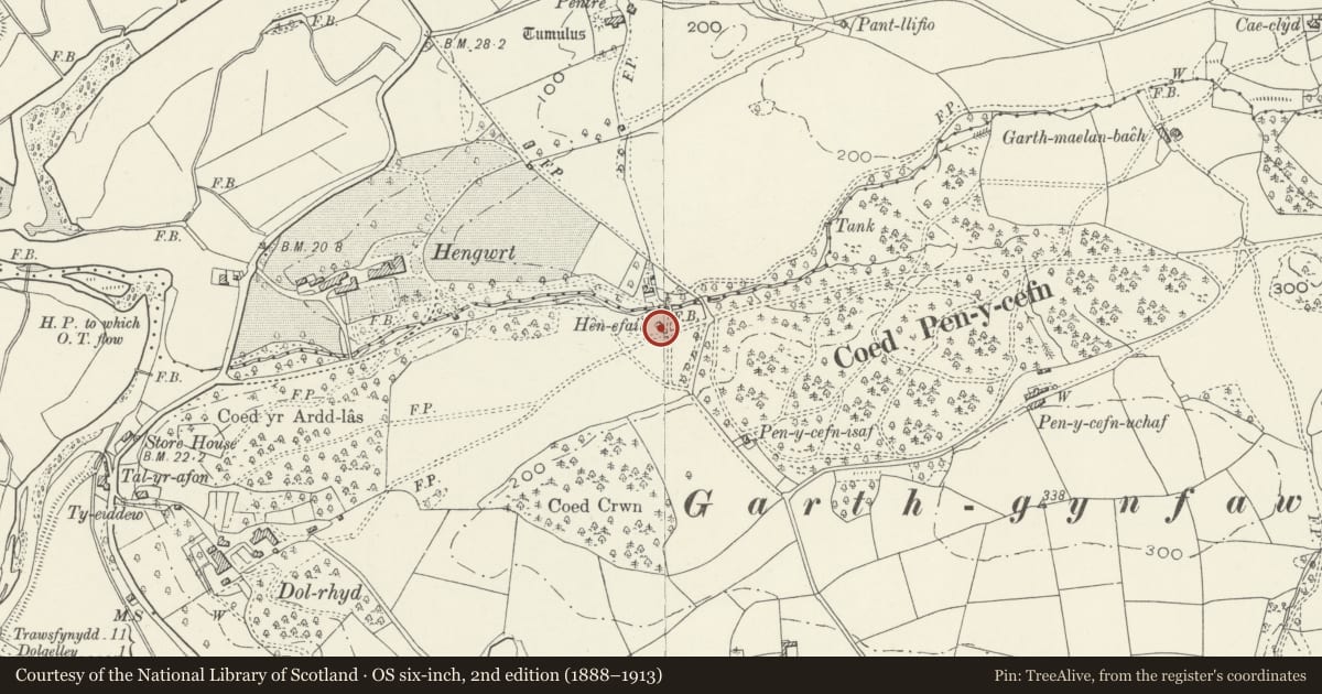 Ordnance Survey six-inch map, 2nd edition (1888–1913) covering the location of Hen Efail, Dolgellau, Gwynedd, with a pin at the register's coordinates