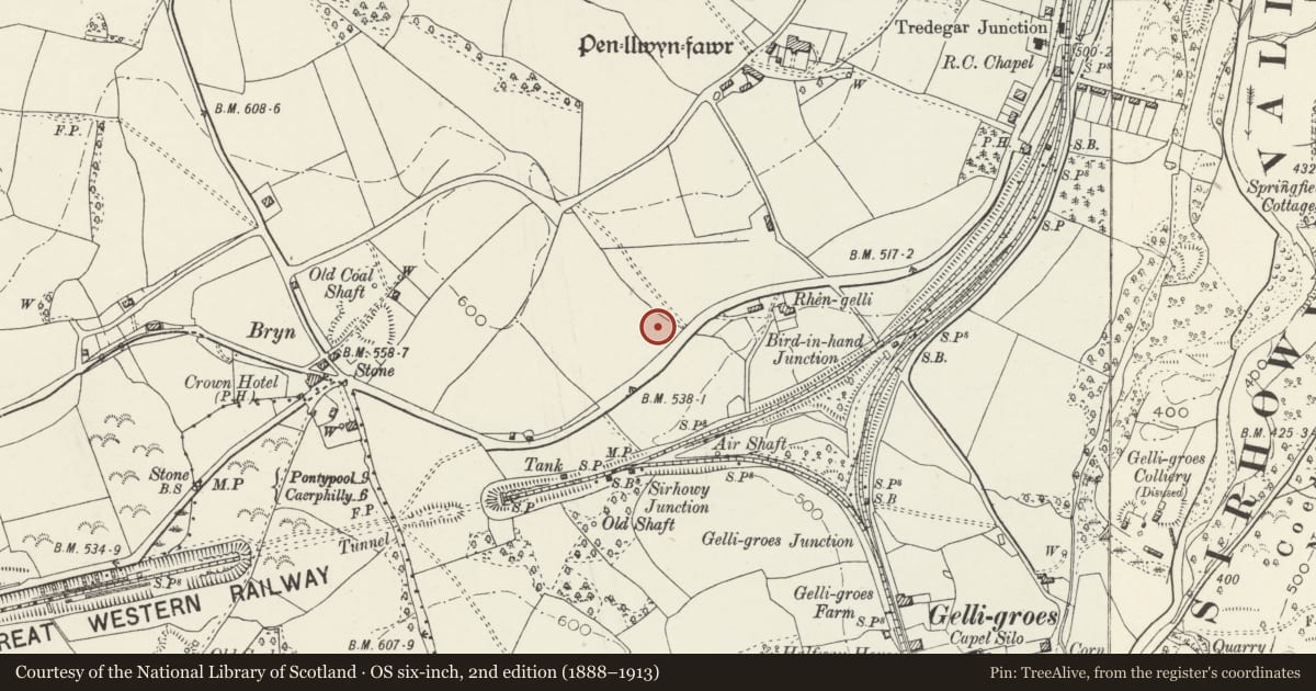 Ordnance Survey six-inch map, 2nd edition (1888–1913) covering the location of Shangri La, Pontllanfraith, Caerphilly, with a pin at the register's coordinates