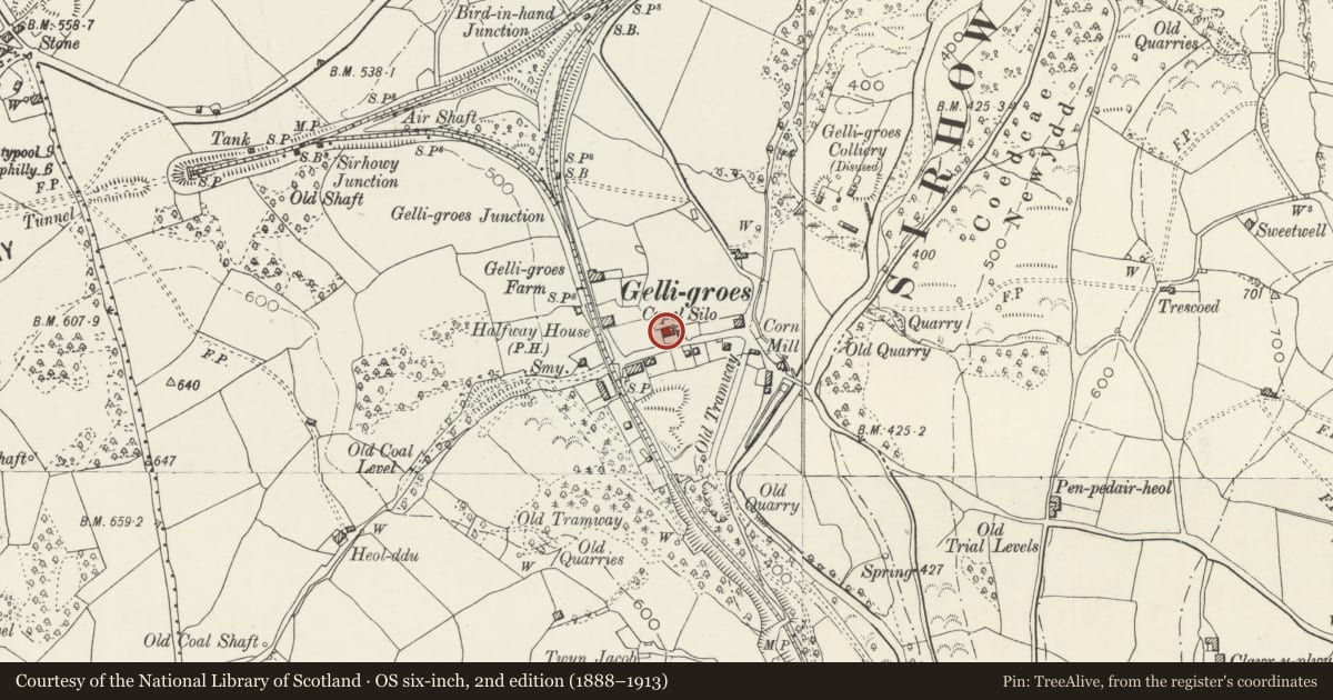 Ordnance Survey six-inch map, 2nd edition (1888–1913) covering the location of Siloh Presbyterian Church, Pontllanfraith, Caerphilly, with a pin at the register's coordinates