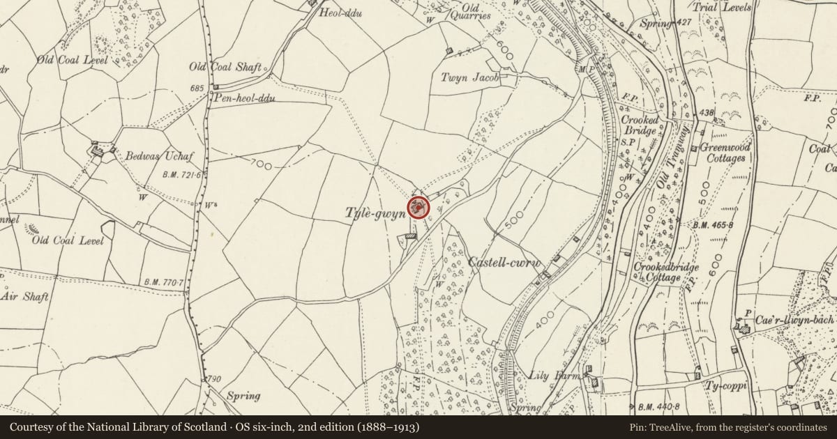 Ordnance Survey six-inch map, 2nd edition (1888–1913) covering the location of Tyle-gwyn, Pontllanfraith, Caerphilly, with a pin at the register's coordinates
