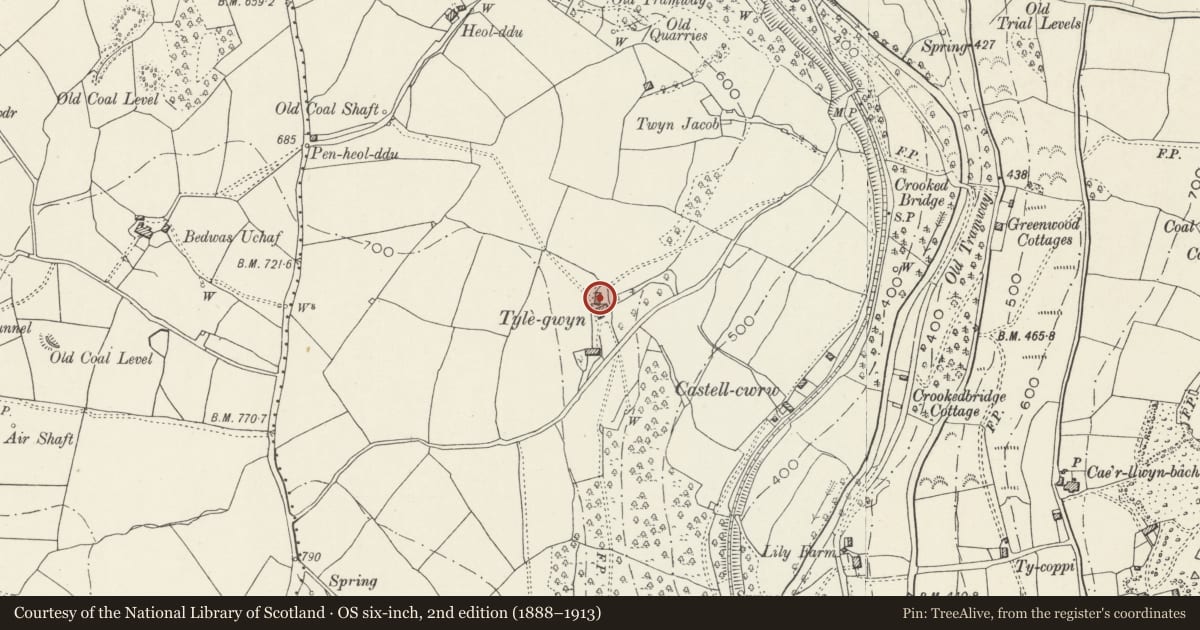 Ordnance Survey six-inch map, 2nd edition (1888–1913) covering the location of Stable range at Tyle-gwyn, Pontllanfraith, Caerphilly, with a pin at the register's coordinates