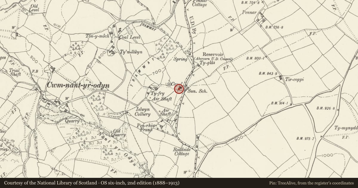 Ordnance Survey six-inch map, 2nd edition (1888–1913) covering the location of Monument to Margaret Williams at New Bethel, Pontllanfraith, Caerphilly, with a pin at the register's coordinates
