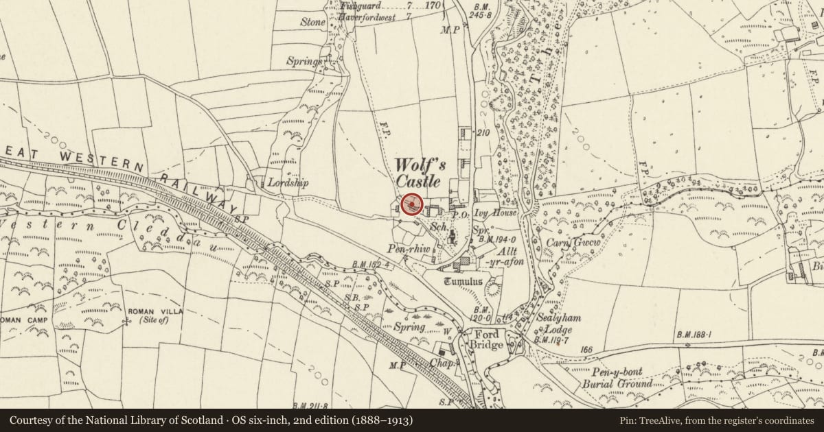 Ordnance Survey six-inch map, 2nd edition (1888–1913) covering the location of Glenview, Wolfscastle, Pembrokeshire, with a pin at the register's coordinates