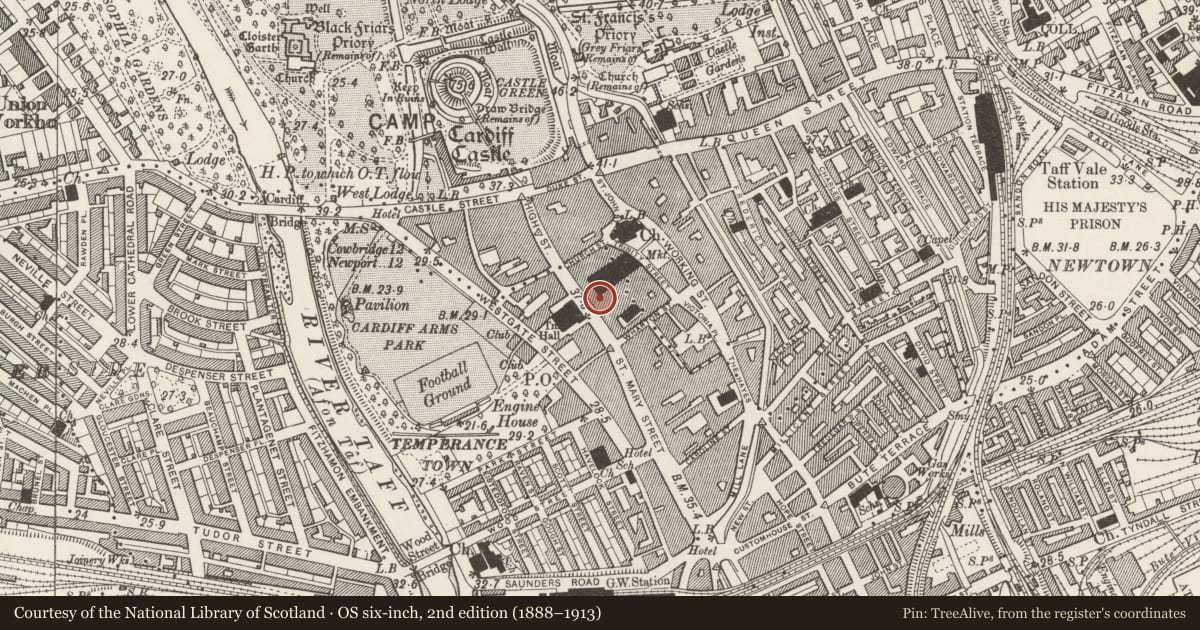 Ordnance Survey six-inch map, 2nd edition (1888–1913) covering the location of The Borough Public House, Castle, Cardiff, with a pin at the register's coordinates