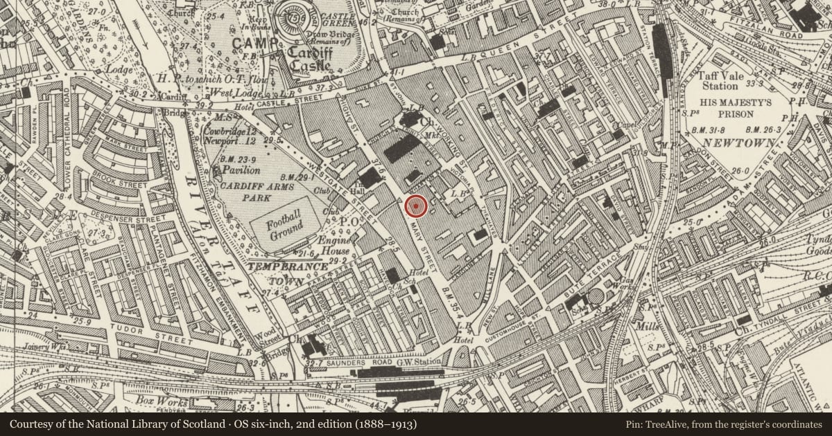 Ordnance Survey six-inch map, 2nd edition (1888–1913) covering the location of Oddbins, Castle, Cardiff, with a pin at the register's coordinates