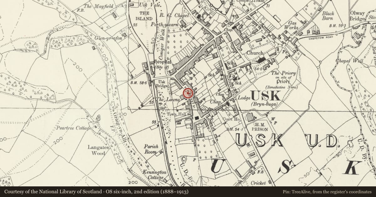 Ordnance Survey six-inch map, 2nd edition (1888–1913) covering the location of Garden Wall at No.16 New Market Street (The Lawns), Usk, Monmouthshire, with a pin at the register's coordinates