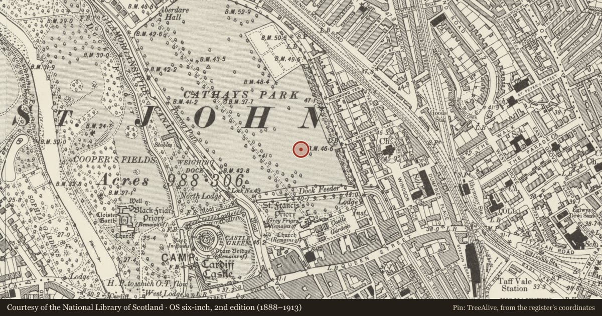 Ordnance Survey six-inch map, 2nd edition (1888–1913) covering the location of Pair of Obelisk Lamp Stands to SE of City Hall, Castle, Cardiff, with a pin at the register's coordinates