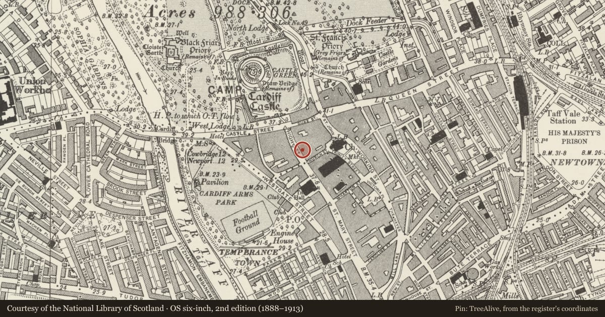 Ordnance Survey six-inch map, 2nd edition (1888–1913) covering the location of High Street Arcade, Castle, Cardiff, with a pin at the register's coordinates