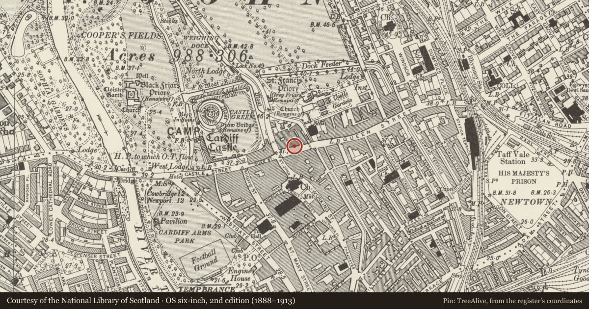 Ordnance Survey six-inch map, 2nd edition (1888–1913) covering the location of Frontage of former Marments Department Store at Queen's West Shopping Precinct, Castle, Cardiff, with a pin at the register's coordinates