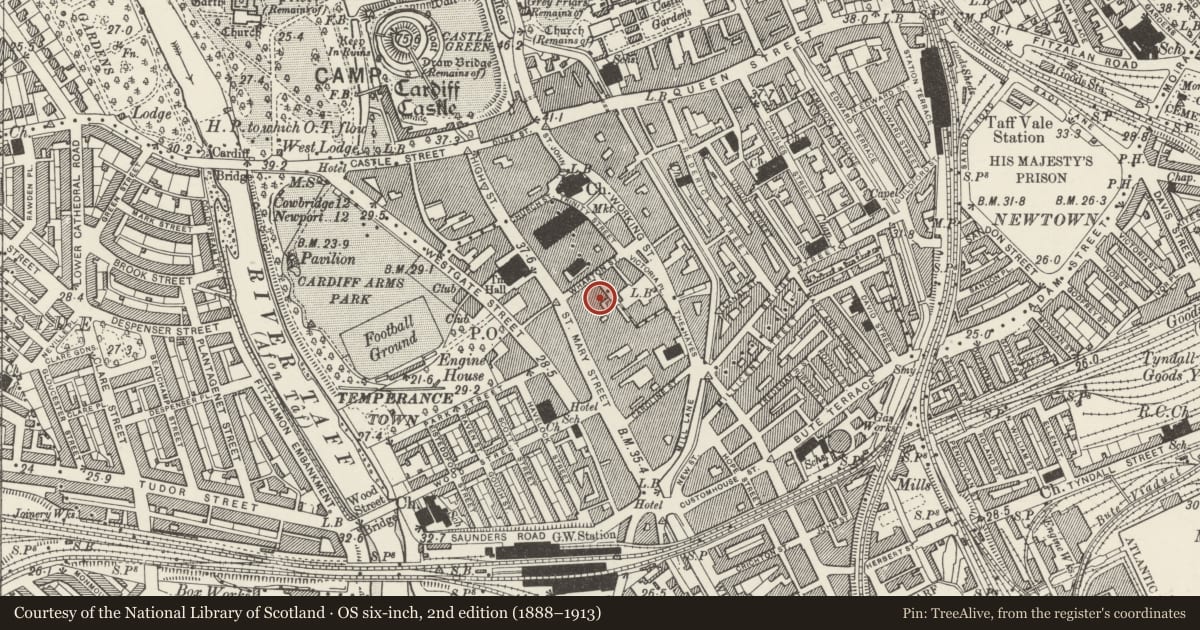 Ordnance Survey six-inch map, 2nd edition (1888–1913) covering the location of City Glassworks, Castle, Cardiff, with a pin at the register's coordinates