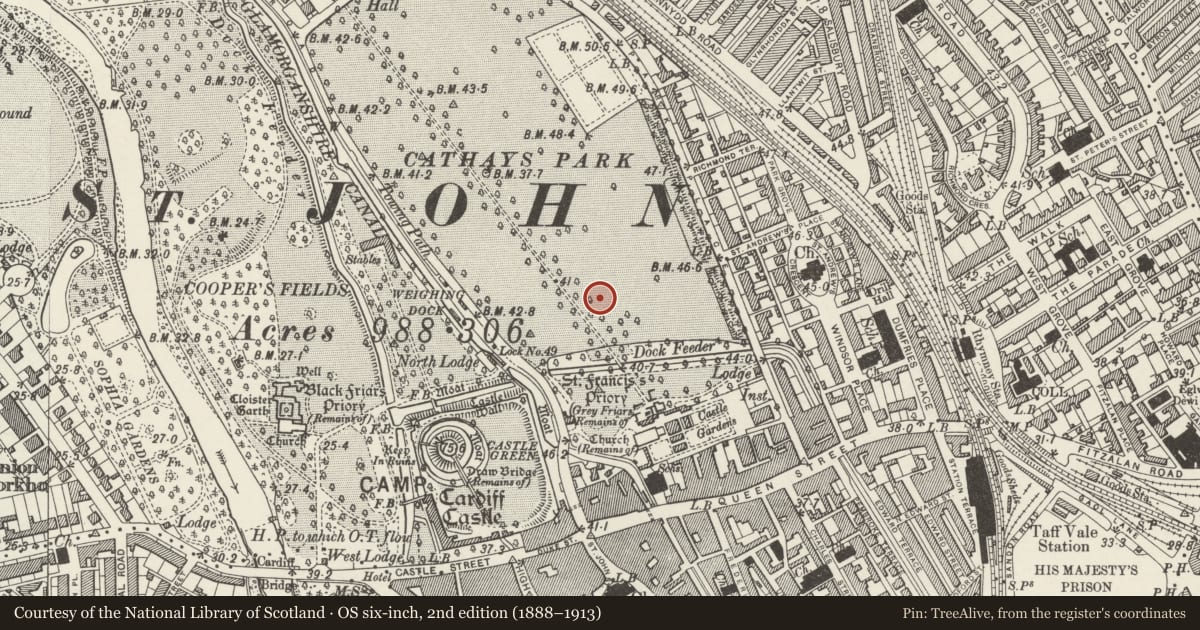 Ordnance Survey six-inch map, 2nd edition (1888–1913) covering the location of Pair of Obelisk Lamp Stands to SW of City Hall, Castle, Cardiff, with a pin at the register's coordinates