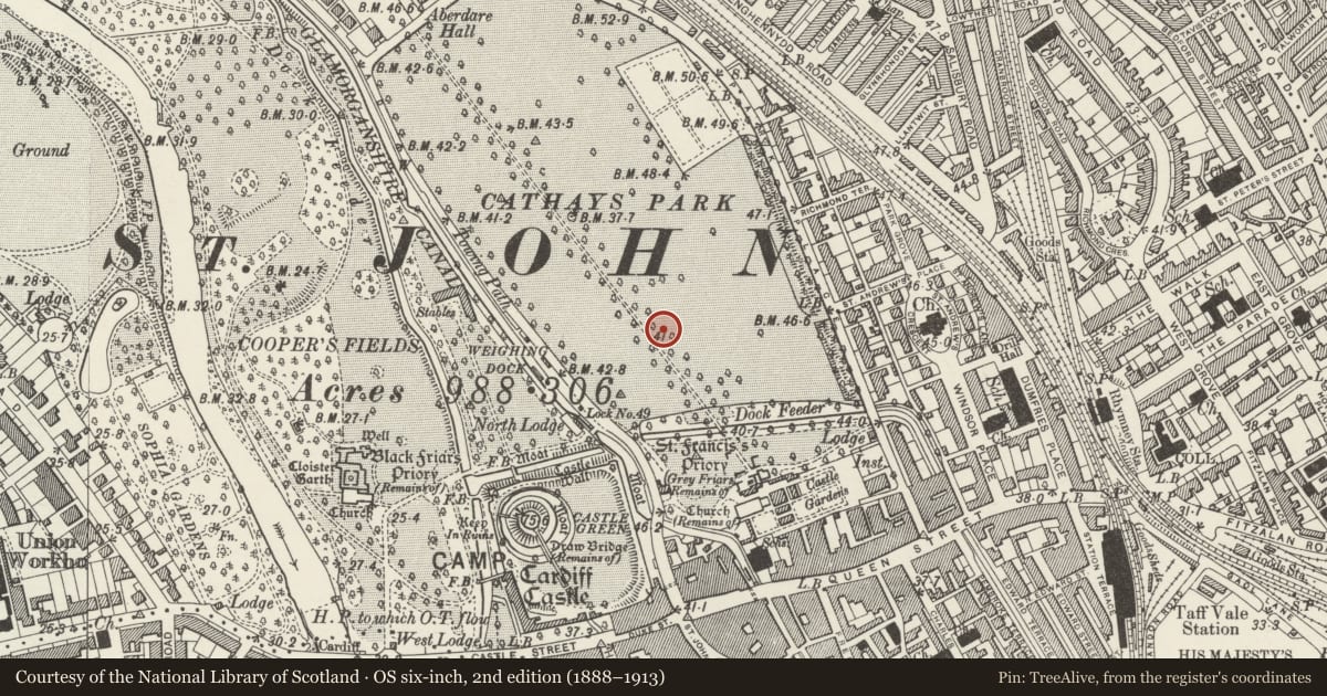 Ordnance Survey six-inch map, 2nd edition (1888–1913) covering the location of Pair of Obelisk Lamp Stands to W of City Hall, Castle, Cardiff, with a pin at the register's coordinates