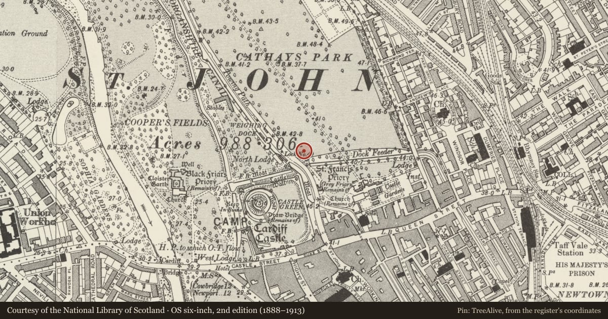 Ordnance Survey six-inch map, 2nd edition (1888–1913) covering the location of Pair of obelisk Lamp Stands to SW of Law Courts, Castle, Cardiff, with a pin at the register's coordinates