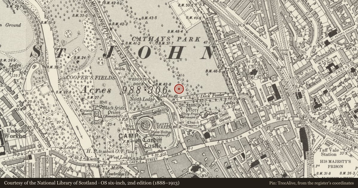 Ordnance Survey six-inch map, 2nd edition (1888–1913) covering the location of Pair of Obelisk Lamp Stands to SE of Law Courts, Castle, Cardiff, with a pin at the register's coordinates