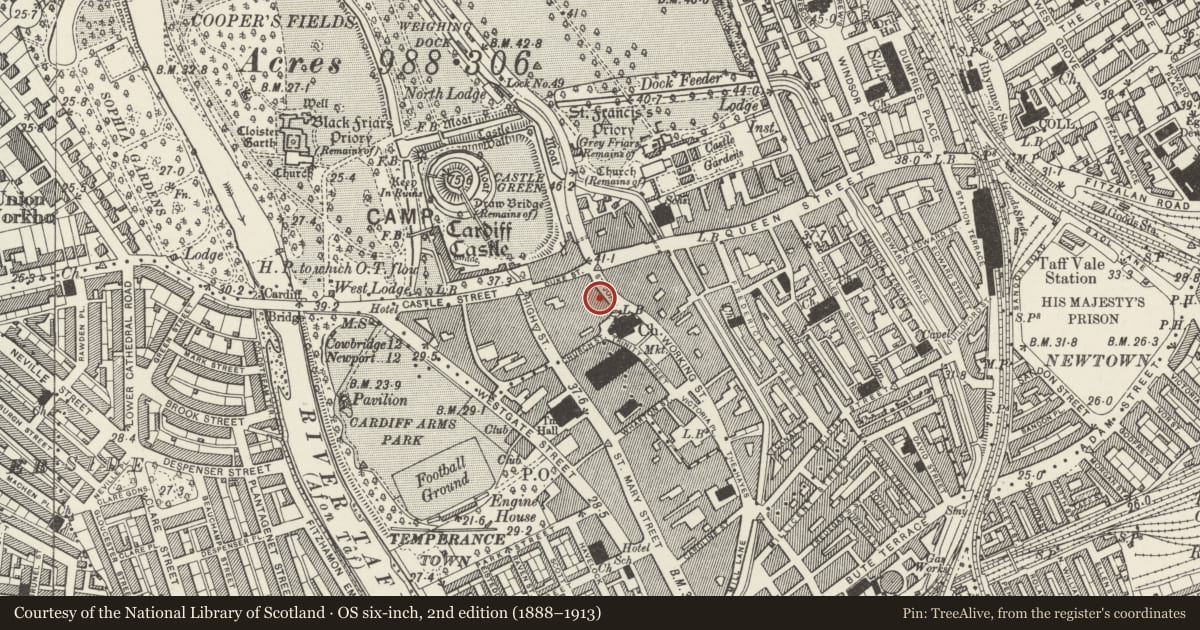 Ordnance Survey six-inch map, 2nd edition (1888–1913) covering the location of Entrance block to High Street Arcade, Castle, Cardiff, with a pin at the register's coordinates