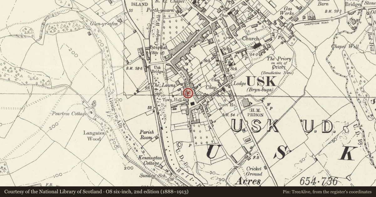 Ordnance Survey six-inch map, 2nd edition (1888–1913) covering the location of Railings and Gates at Ynys Hafod and Min Yr Afon, Usk, Monmouthshire, with a pin at the register's coordinates