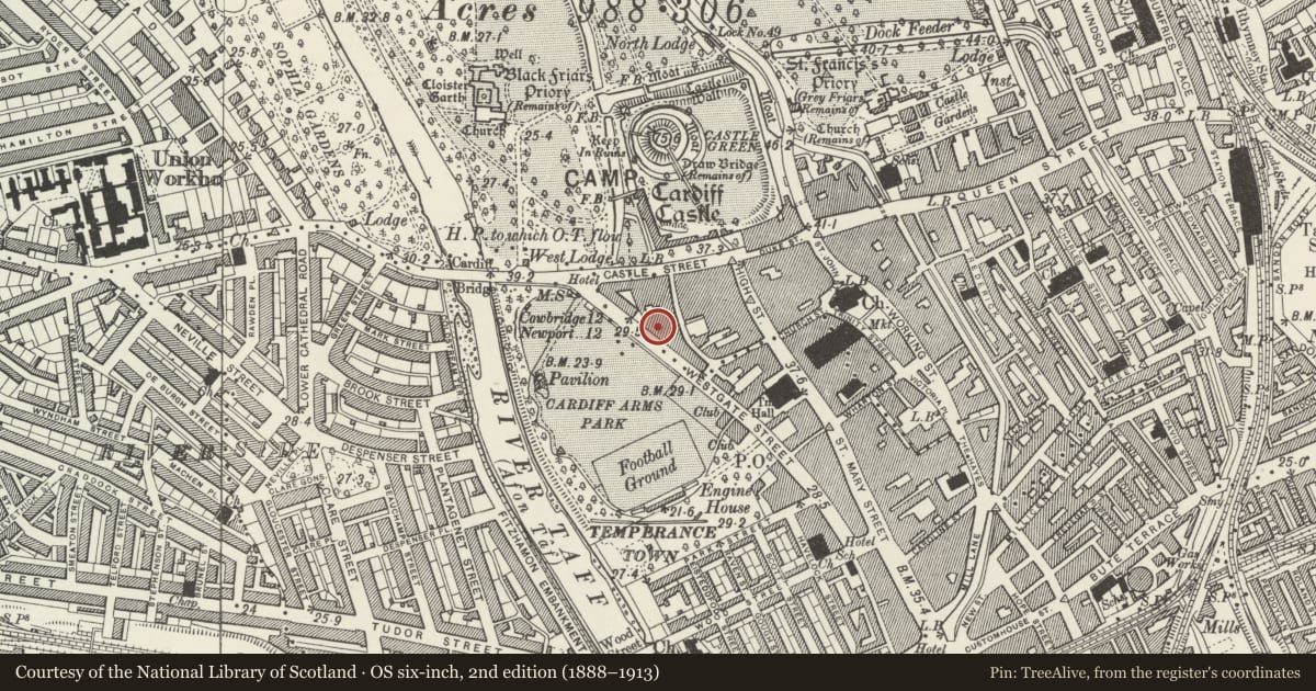 Ordnance Survey six-inch map, 2nd edition (1888–1913) covering the location of Grand Hotel, Castle, Cardiff, with a pin at the register's coordinates