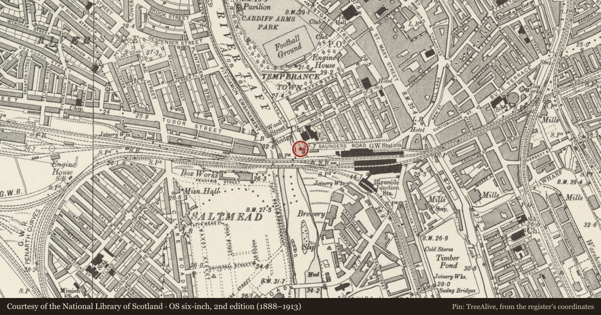 Ordnance Survey six-inch map, 2nd edition (1888–1913) covering the location of Water Tower at Cardiff Central Station, Castle, Cardiff, with a pin at the register's coordinates