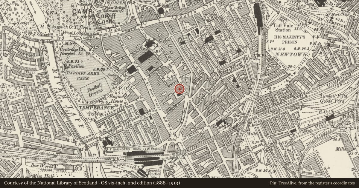 Ordnance Survey six-inch map, 2nd edition (1888–1913) covering the location of 36 The Hayes, Castle, Cardiff, with a pin at the register's coordinates