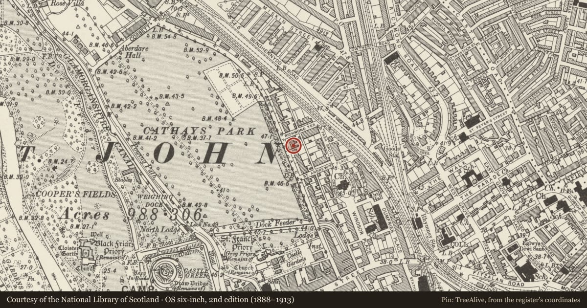 Ordnance Survey six-inch map, 2nd edition (1888–1913) covering the location of 31/32 Park Place, Castle, Cardiff, with a pin at the register's coordinates