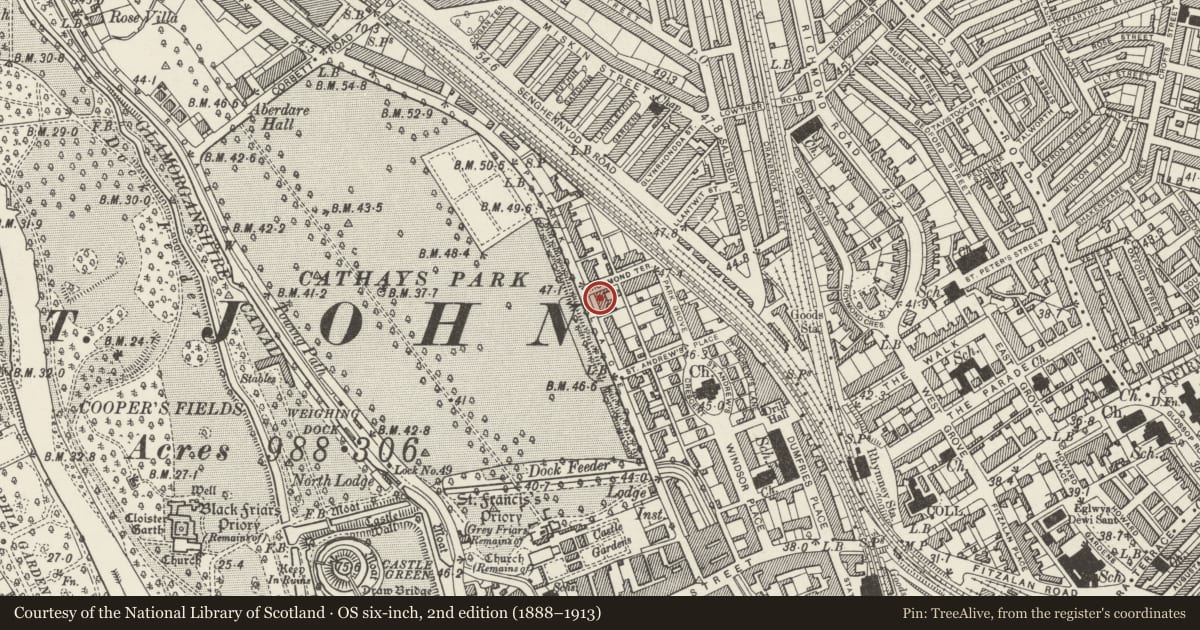 Ordnance Survey six-inch map, 2nd edition (1888–1913) covering the location of 33/34 Park Place, Castle, Cardiff, with a pin at the register's coordinates