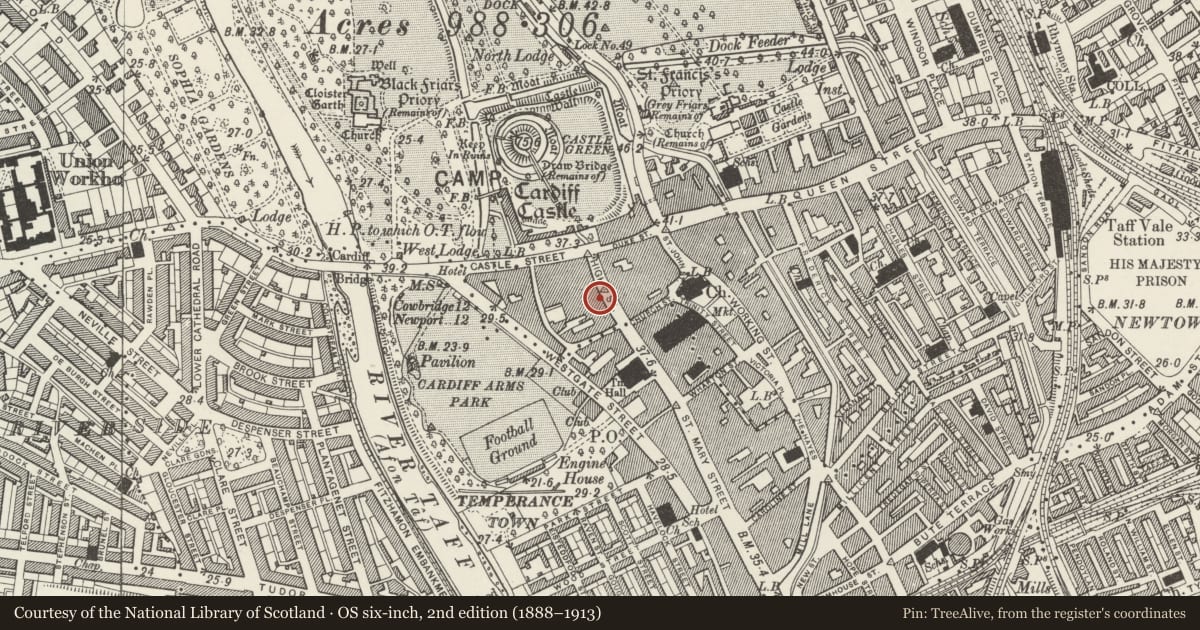 Ordnance Survey six-inch map, 2nd edition (1888–1913) covering the location of Entrance Block to Castle Arcade, Cardiff, with a pin at the register's coordinates
