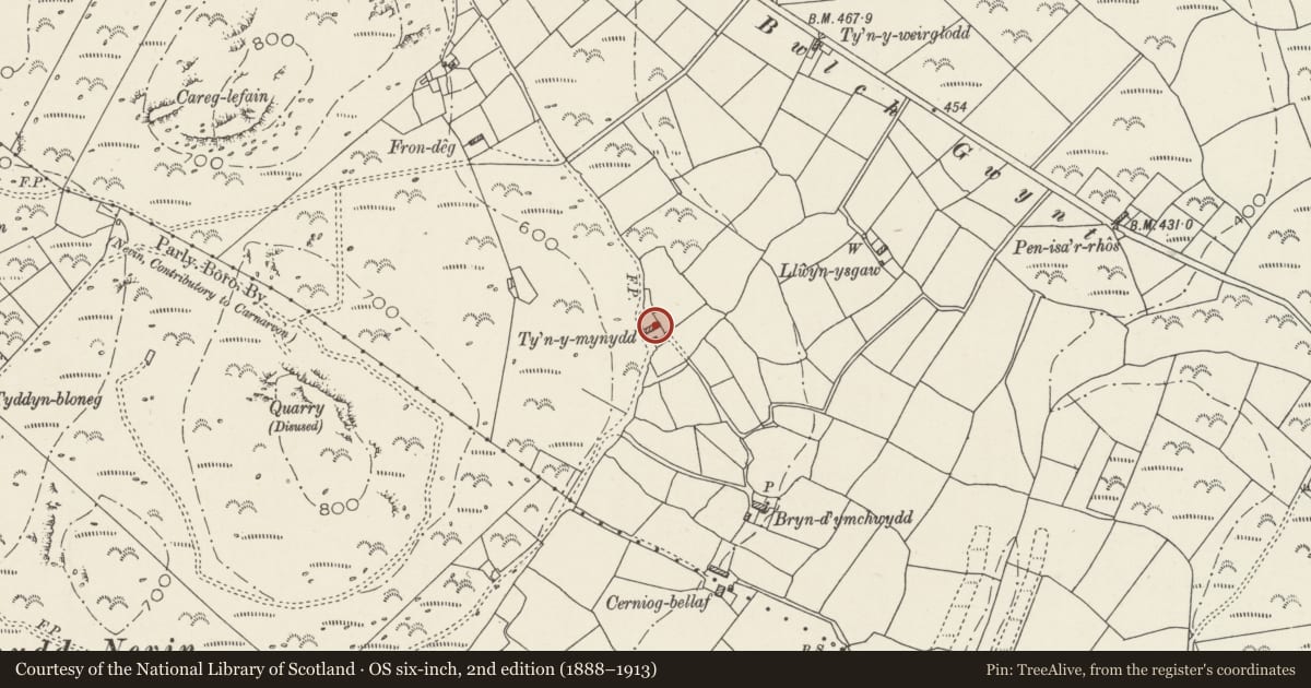 Ordnance Survey six-inch map, 2nd edition (1888–1913) covering the location of Ty'n-y-mynydd, Pistyll, Gwynedd, with a pin at the register's coordinates