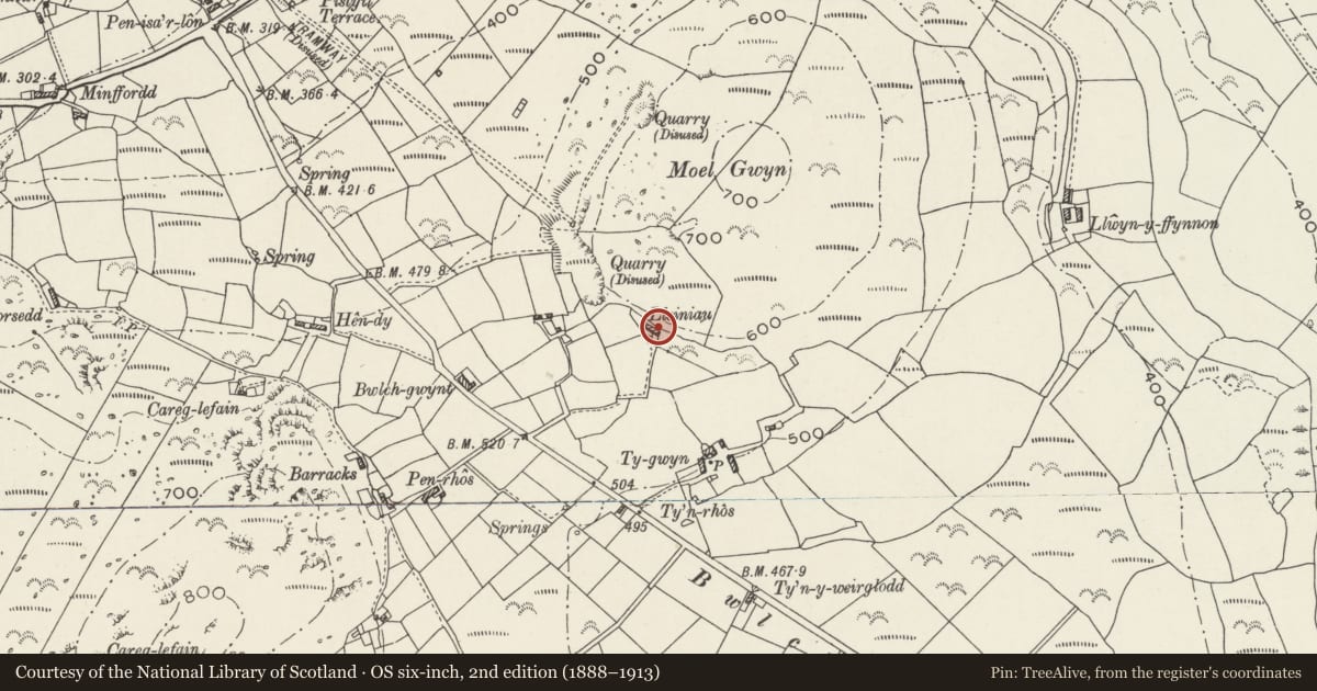 Ordnance Survey six-inch map, 2nd edition (1888–1913) covering the location of Lleiniau, Pistyll, Gwynedd, with a pin at the register's coordinates