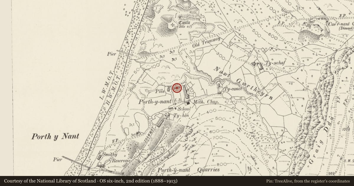 Ordnance Survey six-inch map, 2nd edition (1888–1913) covering the location of Trem-y-mynydd, with associated front walls, Pistyll, Gwynedd, with a pin at the register's coordinates