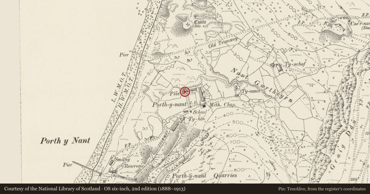 Ordnance Survey six-inch map, 2nd edition (1888–1913) covering the location of Y Plas, with associated garden and driveway walls, Pistyll, Gwynedd, with a pin at the register's coordinates