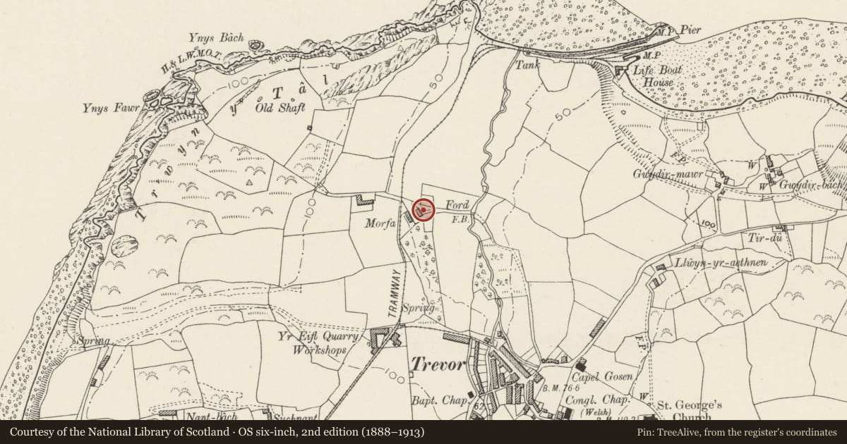 Ordnance Survey six-inch map, 2nd edition (1888–1913) covering the location of Morfa, Llanaelhaearn, Gwynedd, with a pin at the register's coordinates
