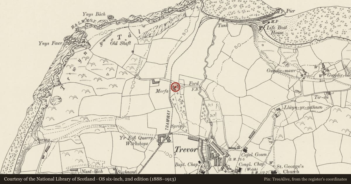 Ordnance Survey six-inch map, 2nd edition (1888–1913) covering the location of Piggery at Morfa, Llanaelhaearn, Gwynedd, with a pin at the register's coordinates