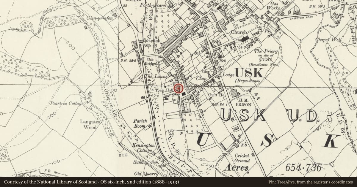 Ordnance Survey six-inch map, 2nd edition (1888–1913) covering the location of Riverside House, and attached iron railings, Usk, Monmouthshire, with a pin at the register's coordinates