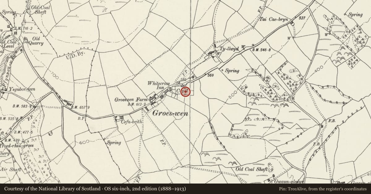 Ordnance Survey six-inch map, 2nd edition (1888–1913) covering the location of Thomas family monument, Penyrheol, Trecenydd and Energlyn, Caerphilly, with a pin at the register's coordinates