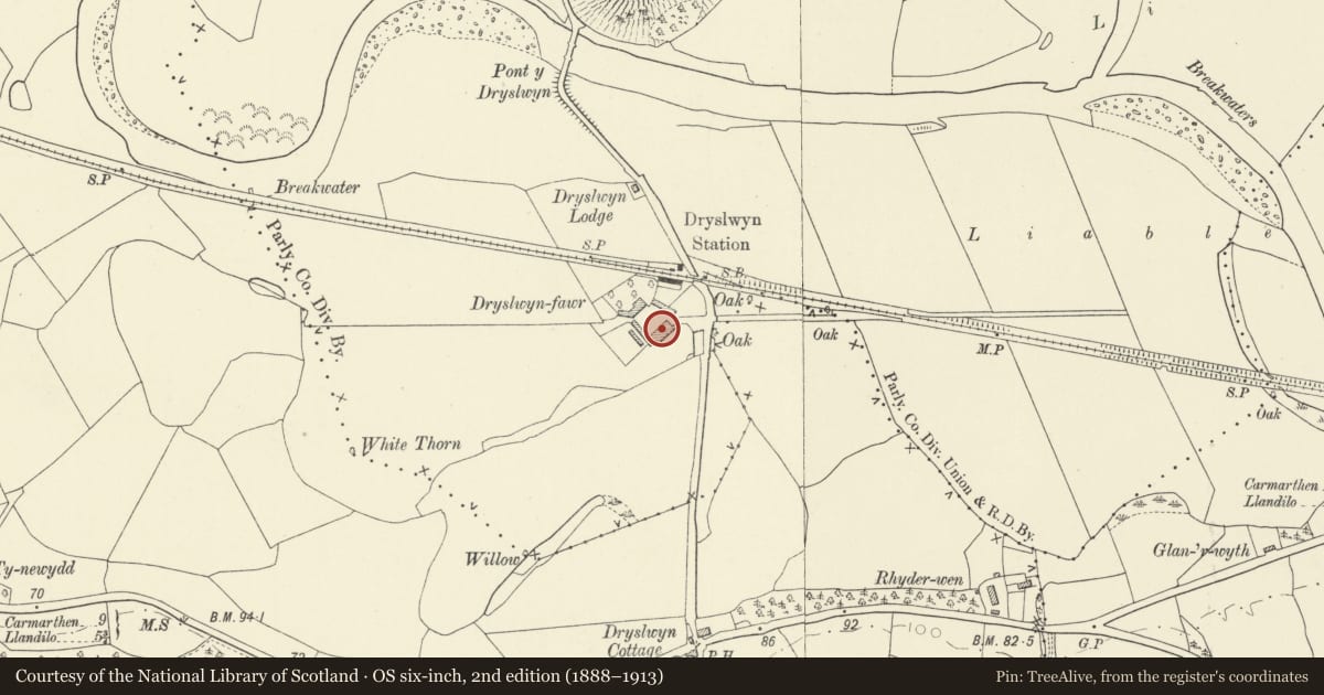 Ordnance Survey six-inch map, 2nd edition (1888–1913) covering the location of Dryslwyn-fawr Cartshed and Stables, Llanarthney, Carmarthenshire, with a pin at the register's coordinates