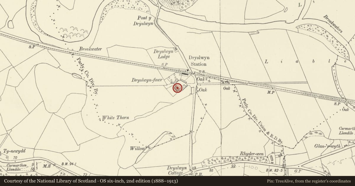Ordnance Survey six-inch map, 2nd edition (1888–1913) covering the location of Dryslwyn-fawr Cowshed, Llanarthney, Carmarthenshire, with a pin at the register's coordinates