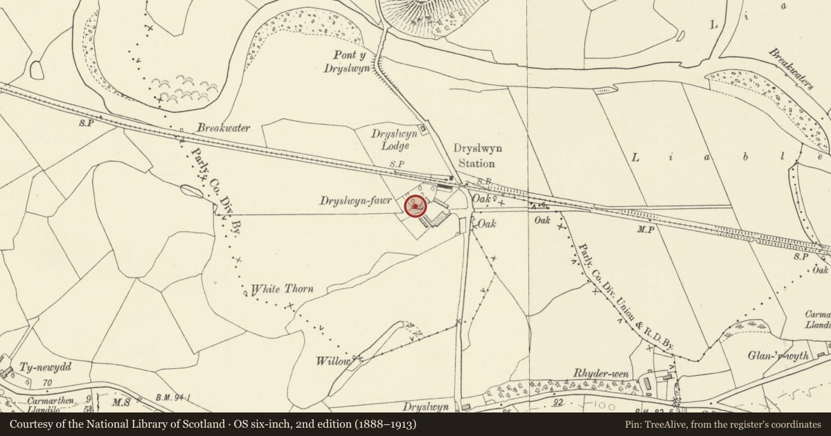 Ordnance Survey six-inch map, 2nd edition (1888–1913) covering the location of Dryslwyn-fawr Pigsties, Llanarthney, Carmarthenshire, with a pin at the register's coordinates