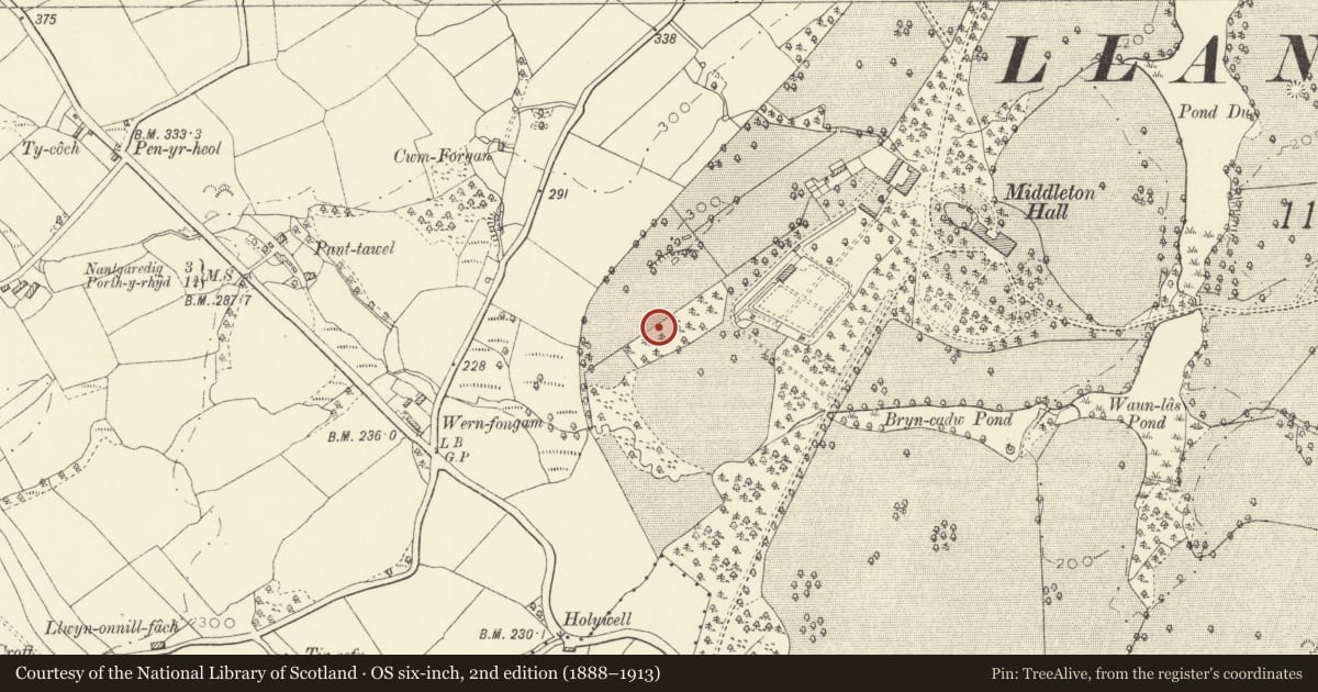 Ordnance Survey six-inch map, 2nd edition (1888–1913) covering the location of Ice House of Middleton Hall, Llanarthney, Carmarthenshire, with a pin at the register's coordinates