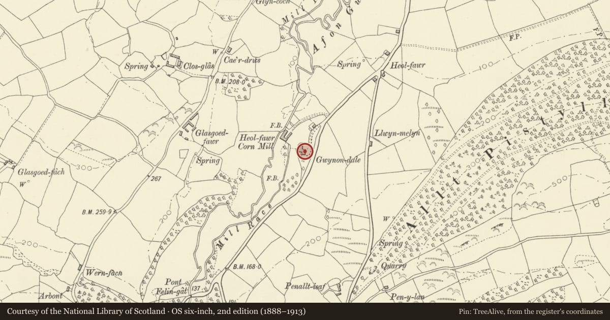 Ordnance Survey six-inch map, 2nd edition (1888–1913) covering the location of Dôlgwynon (also known as Gwynon Dale)., Llanarthney, Carmarthenshire, with a pin at the register's coordinates
