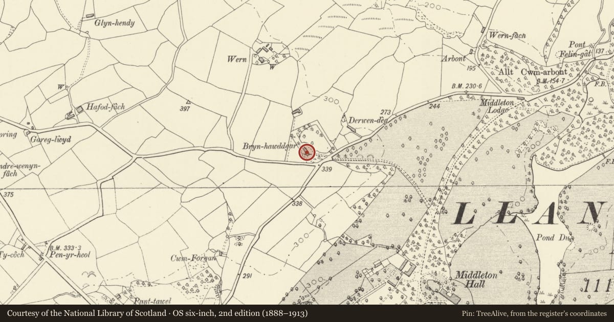 Ordnance Survey six-inch map, 2nd edition (1888–1913) covering the location of Brynhawddgar, Llanarthney, Carmarthenshire, with a pin at the register's coordinates