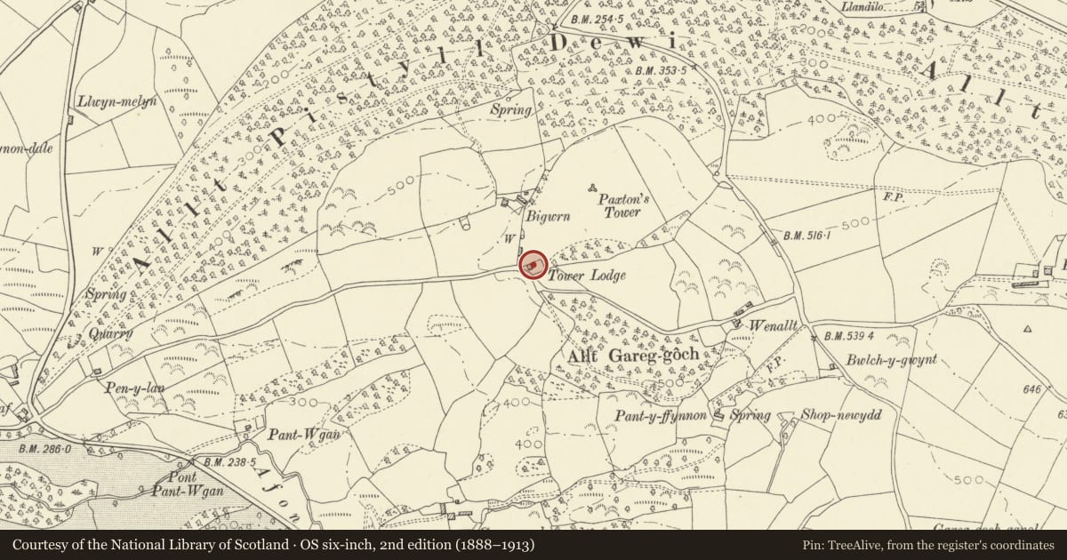 Ordnance Survey six-inch map, 2nd edition (1888–1913) covering the location of Tower Lodge, Llanarthney, Carmarthenshire, with a pin at the register's coordinates